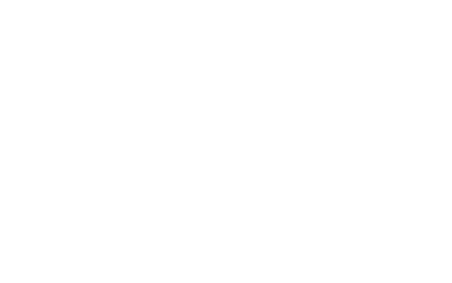 OctoPump logo